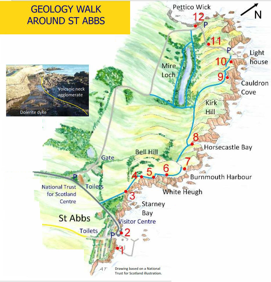 St Abb s Head A Geology Walk GeoGuide