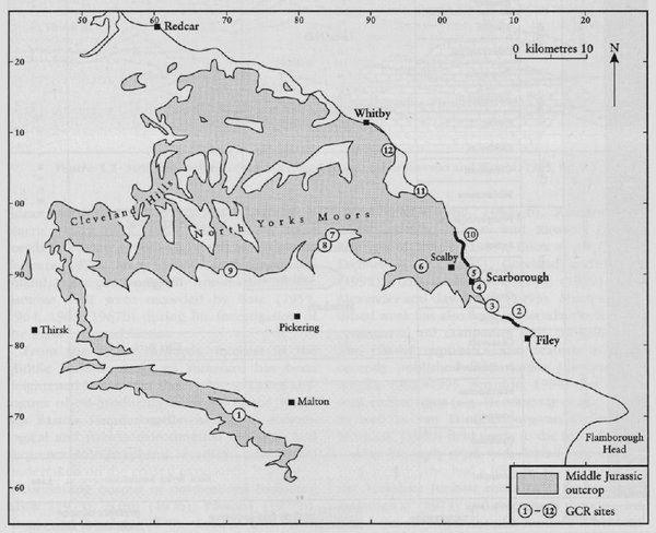 Chapter 5 The Middle Jurassic stratigraphy of North Yorkshire | GeoGuide
